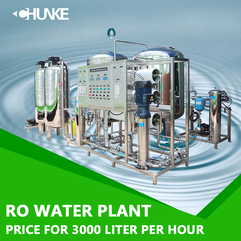 How much does a 3000 L/h RO system cost?