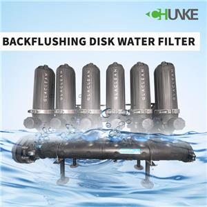 What is a backwash disc water filter?