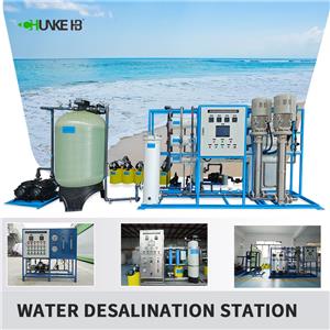 How much electricity does a large desalination plant need to operate for a day?