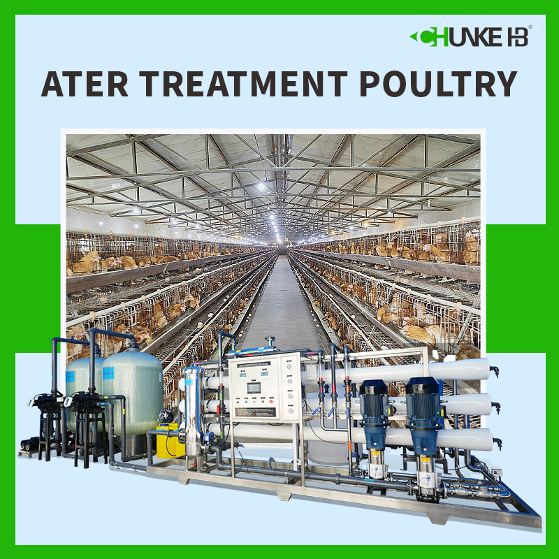 ¿Cómo tratar el agua potable de las aves de corral?