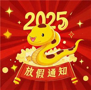 the 2025 Spring Festival holiday of Leada Team