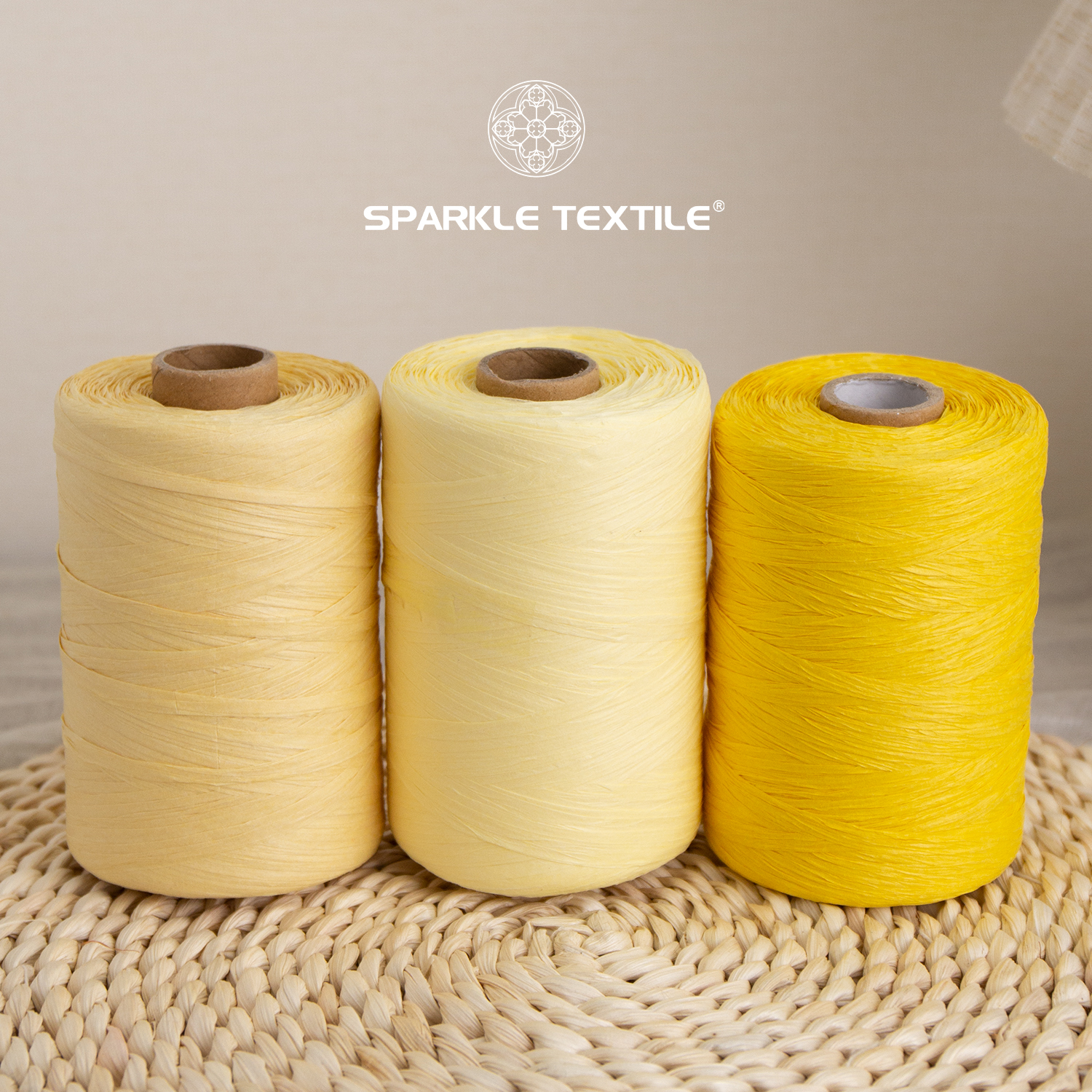 Raffia Hand Crochet Yarn Spun 300Meters DIY Flat Paper Raffia Yarn for Crochet Bag