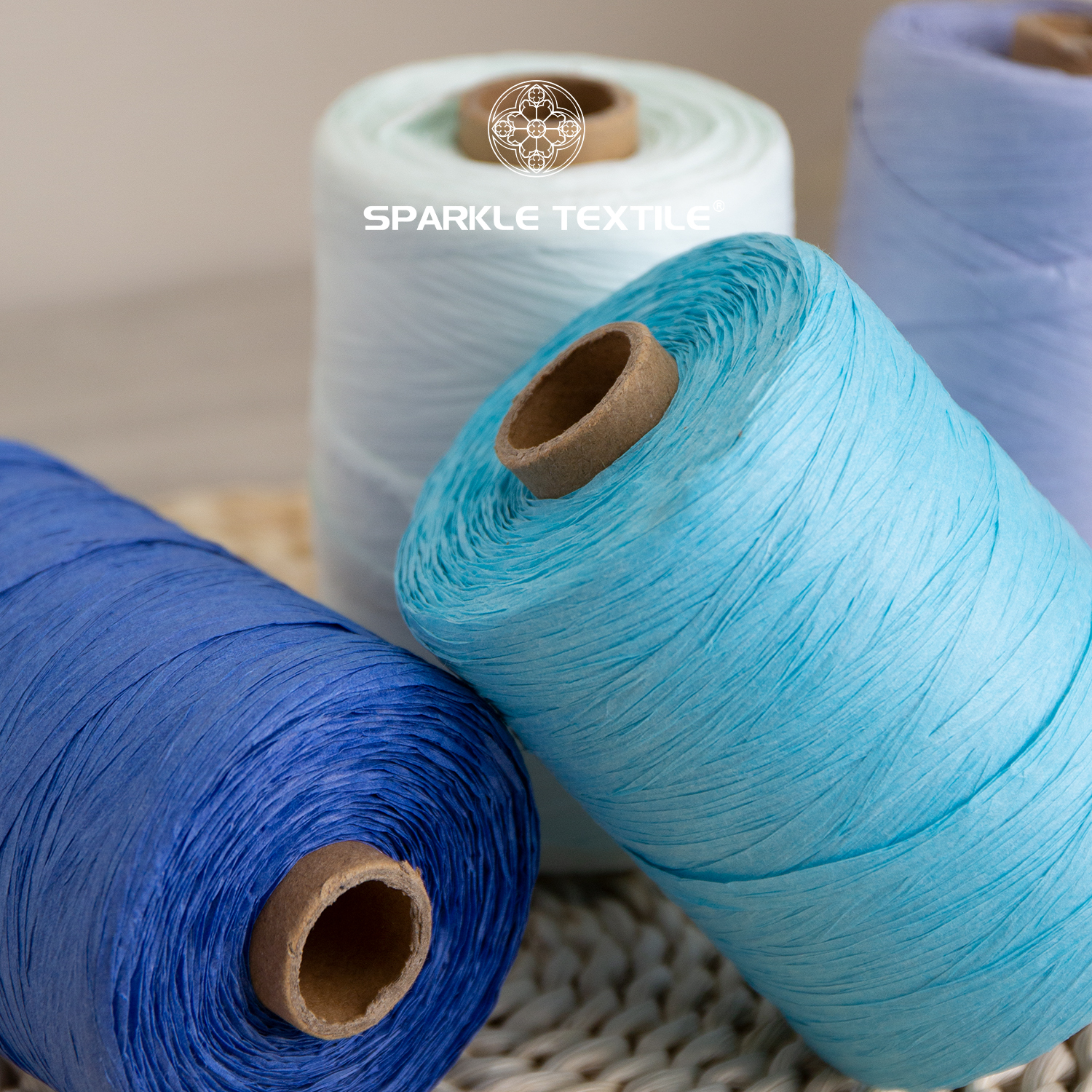 Raffia Hand Crochet Yarn Spun 300Meters DIY Flat Paper Raffia Yarn for Crochet Bag