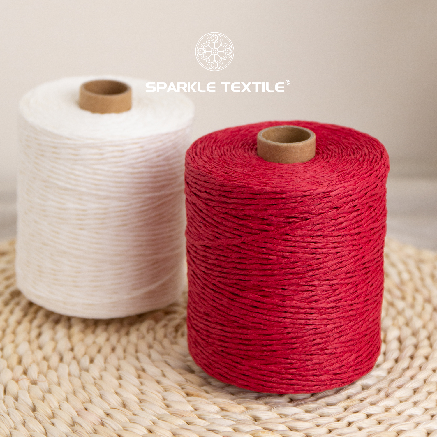 Cost-Effective 300M Colored Double Twisted Raffia Paper Yarn Thread for Crochet Handbags Hats Bags DIY Craft