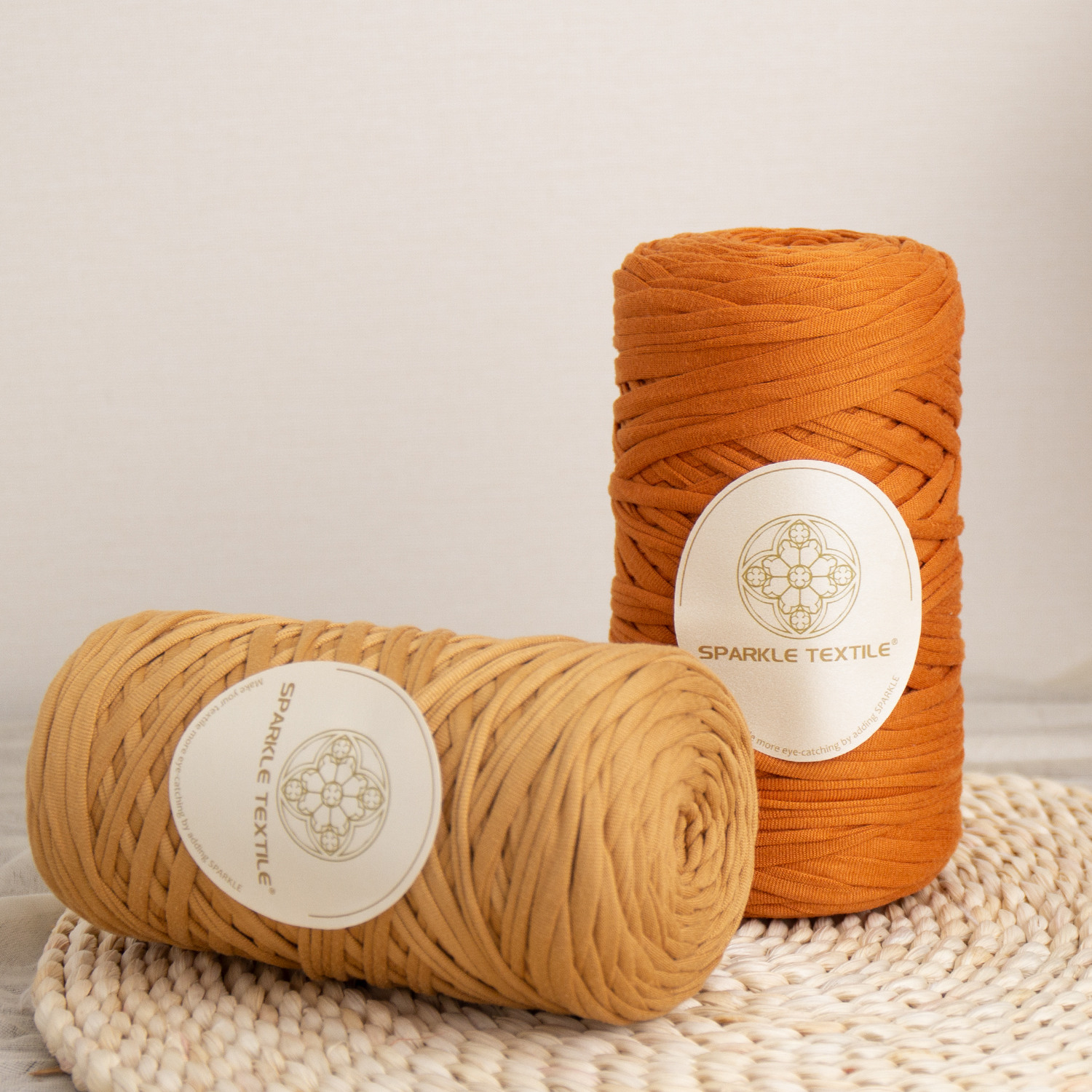 Big Spun 310g Elasticity Hand Knitting 2cm Wide Soft Polyester T Shirt Crochet Yarn for Beginners