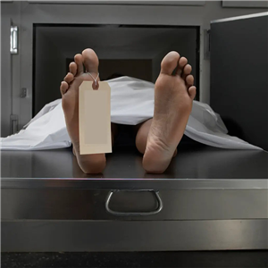 refrigerador para necrotério