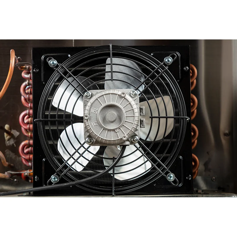 Comprar Refrigerador mortuorio Roundfin RD-2 para 2 cuerpos, Refrigerador mortuorio Roundfin RD-2 para 2 cuerpos Precios, Refrigerador mortuorio Roundfin RD-2 para 2 cuerpos Marcas, Refrigerador mortuorio Roundfin RD-2 para 2 cuerpos Fabricante, Refrigerador mortuorio Roundfin RD-2 para 2 cuerpos Citas, Refrigerador mortuorio Roundfin RD-2 para 2 cuerpos Empresa.
