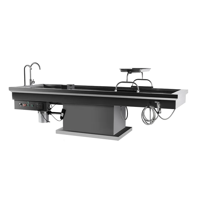 Roundfin RD-A-03 Fixed Height Autopsy Table