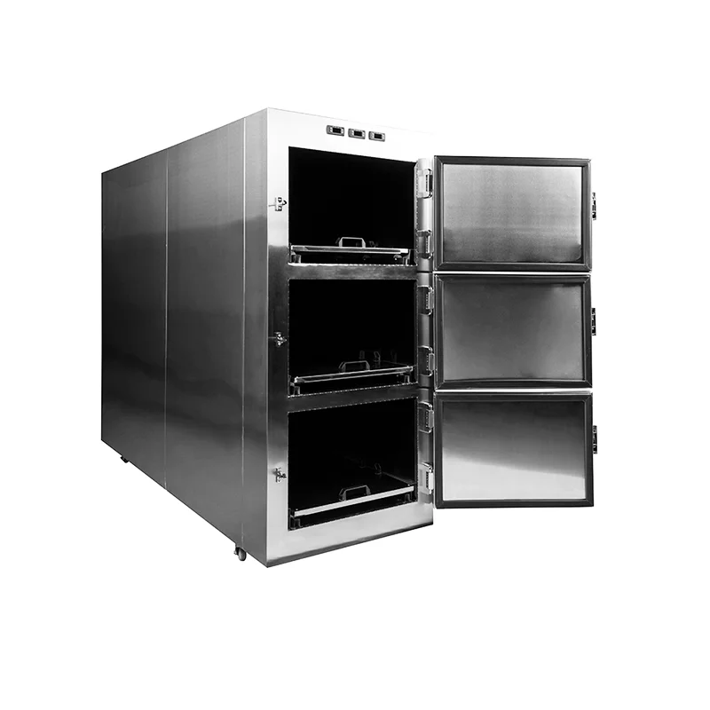Roundfin RD-3 3-Body Mortuary Refrigerator