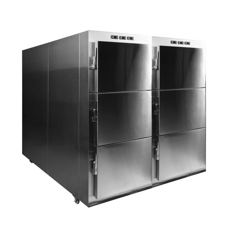 Roundfin RD-6 6-Body Mortuary Refrigerator