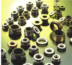 Failure analysis and corrective measures for automotive pump seals