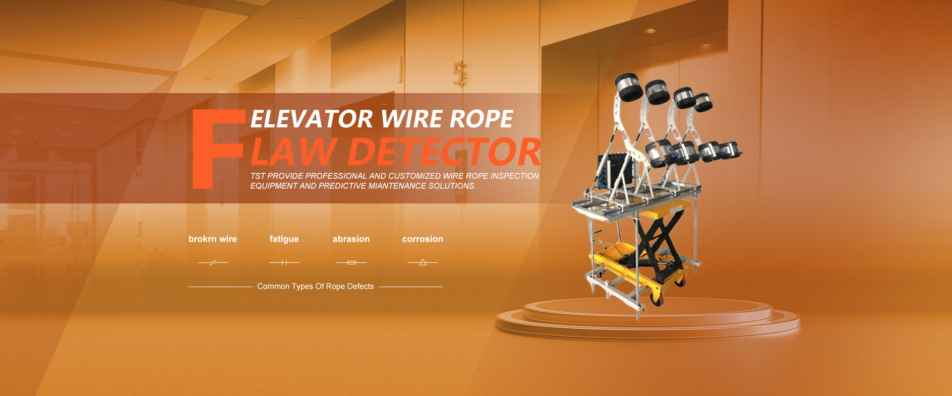 Guy Wire Rope Inspection