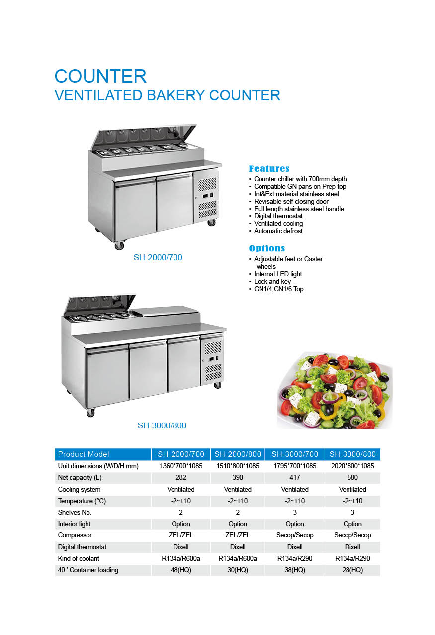 Stainless Steel Saladette