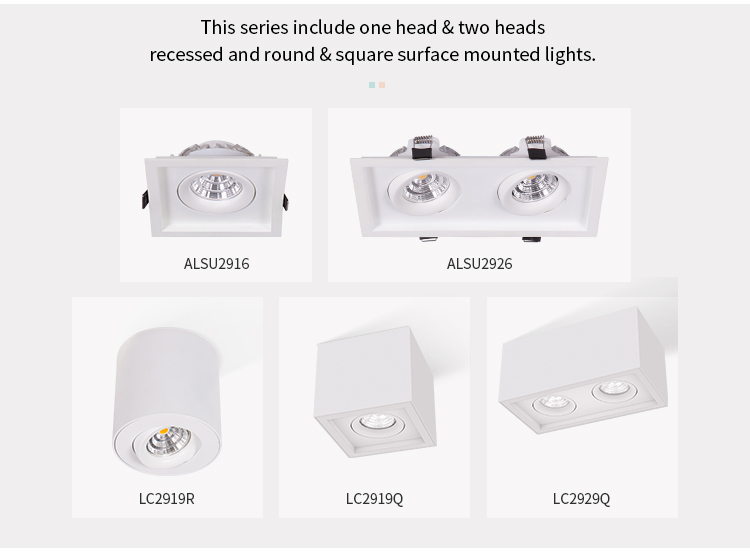 Two Heads Recessed downlight