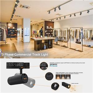 Anova skinnelys med justerbare funktioner