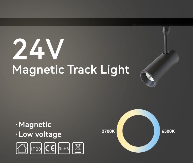Magnetic track light