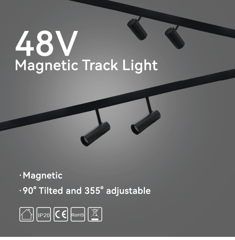 48V magnetic track light