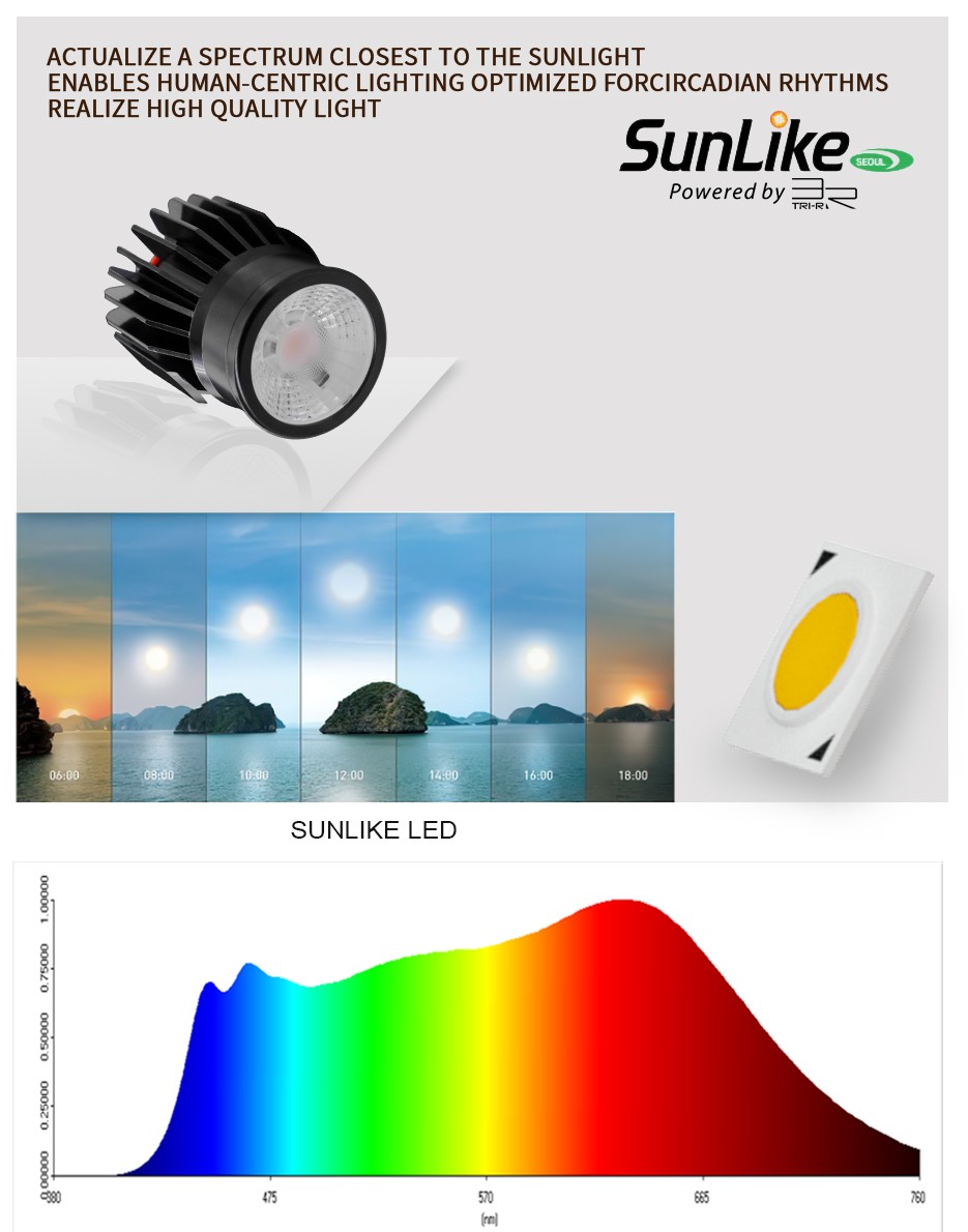 led module ip65