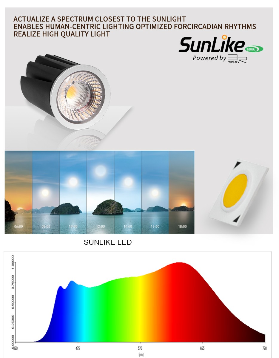 led module ip65