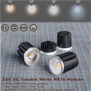24V DC Tunable White MR16-modul