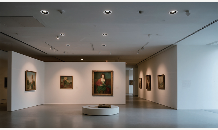 Zoomable MR16 Module