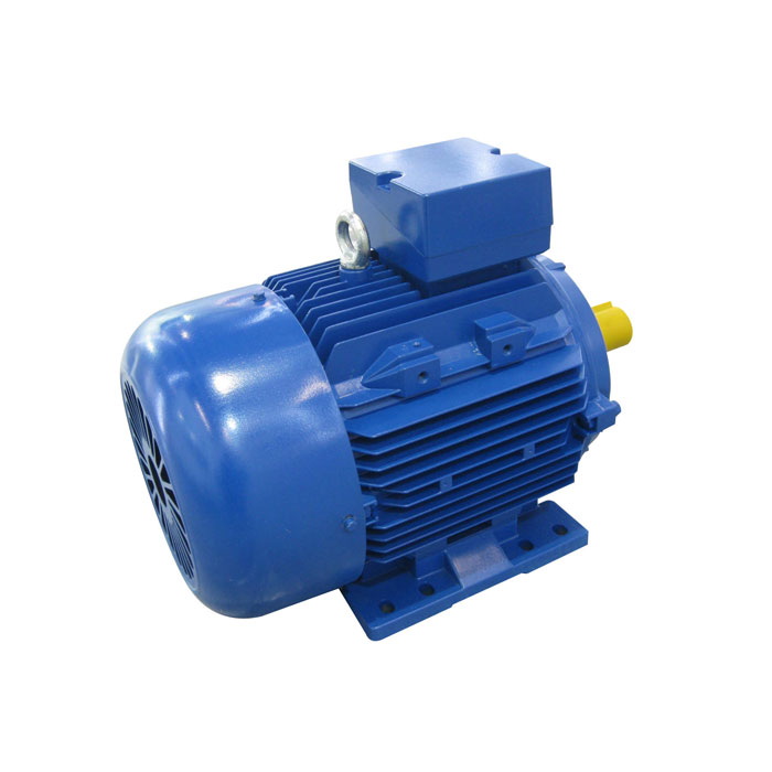 2.2 KW Electric Plate Compactor Motor