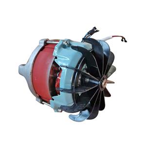 2,2 KW Rasenmähermotor