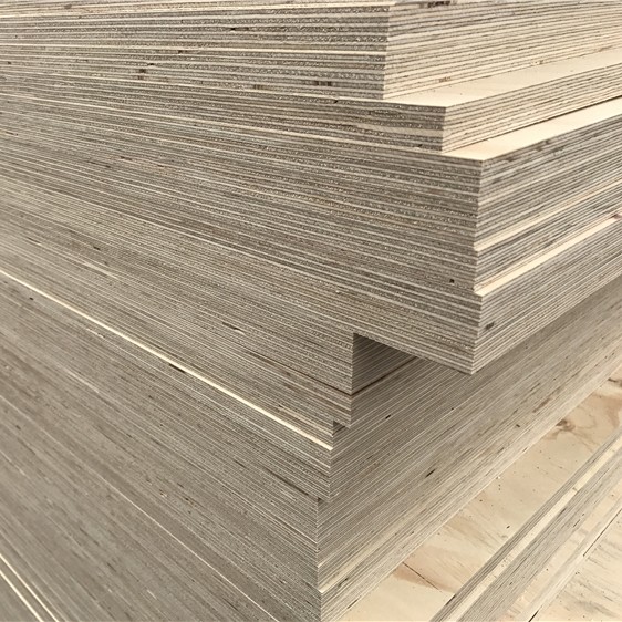 WBP GLUE PINE CDX structural Pine Plywood