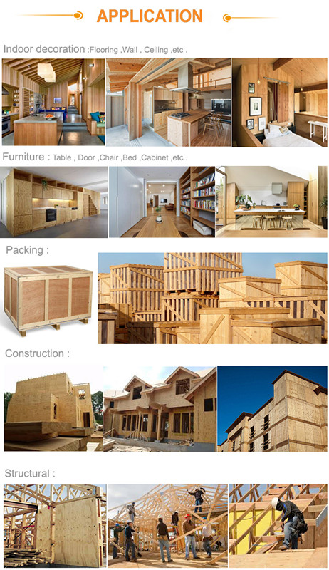 furniture okoume plywood