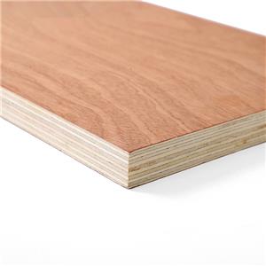 Bintangor Hardwood Commercial Plywood