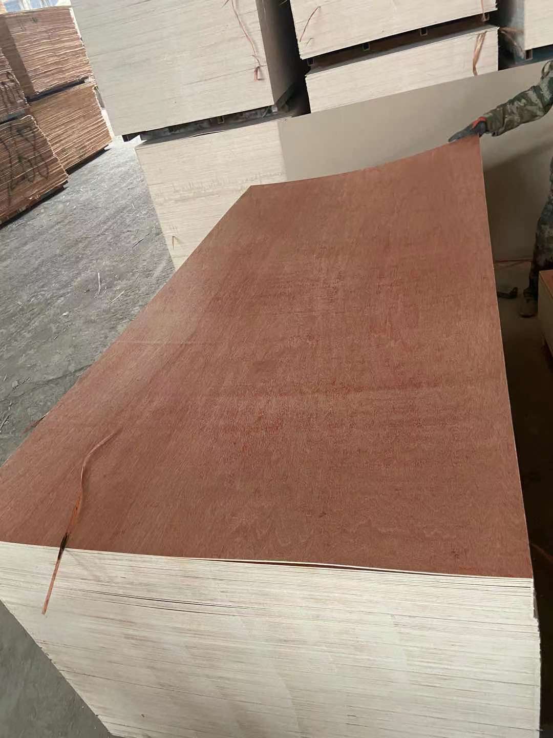 Bintangor Furniture Plywood