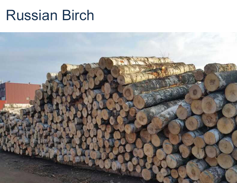 Russian Baltic Birch Plywood