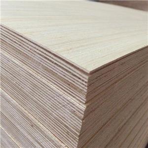 Engineered Veneer EV Poplar Plywood
