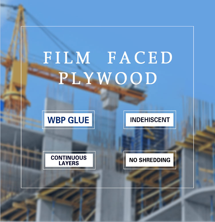 film faced shuttering plywood