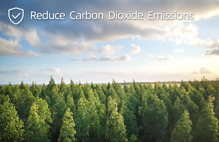 Reduce Carbon Dioxide Emissions