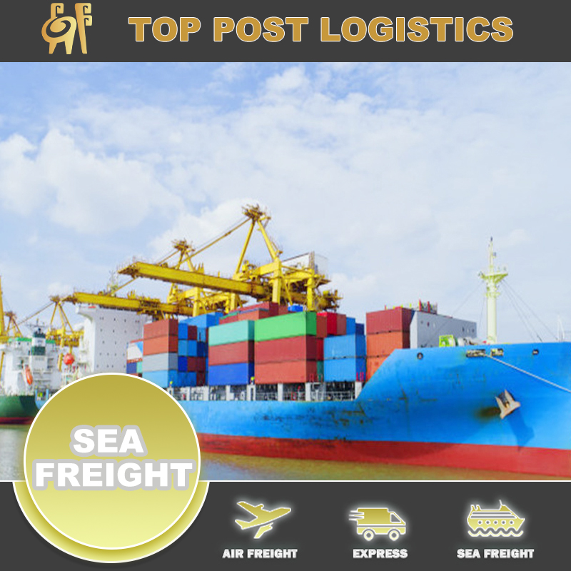 China Brand Shoe Sea Cargo Shipping Agent From China/Hong Kong To USA
