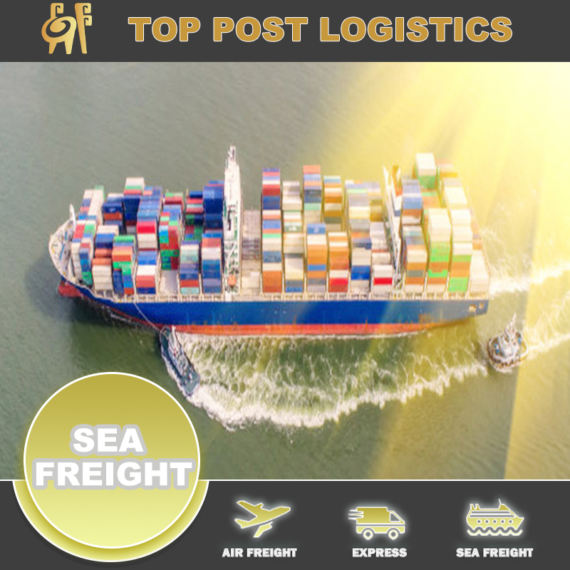China Brand Shoe Sea Cargo Shipping Agent From China/Hong Kong To USA