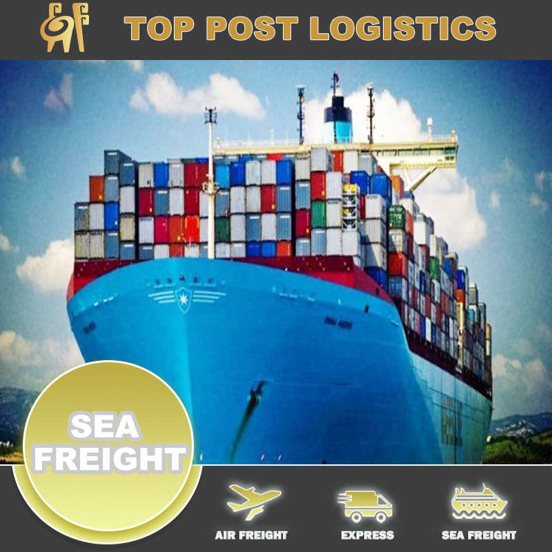 Best Cost Sea Shipping Agent From China To France China/Hong Kong