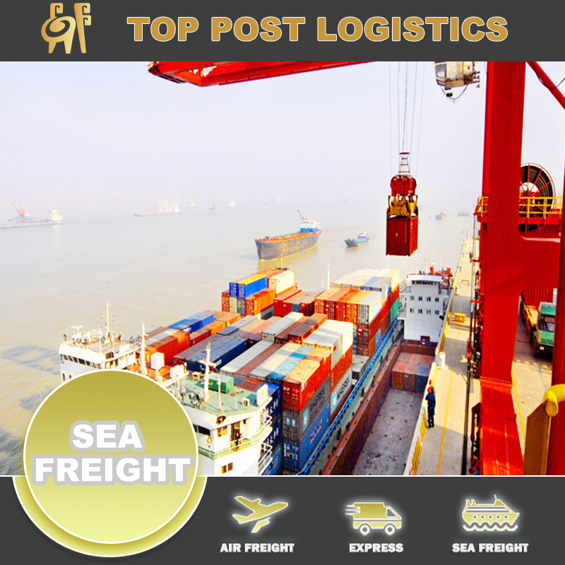 Zhejiang Sea Freight Forwarder Agent To Finland China/Hong Kong