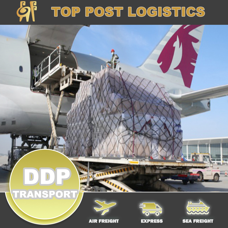 Freight To Germany FBA Amazon From China/Hong Kong DDP Service