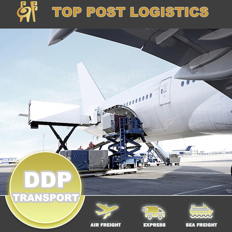 ドイツへの貨物 FBA 中国/香港からのAmazon DDPサービス