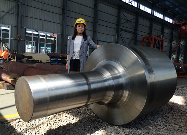 Forged Gear Shaft