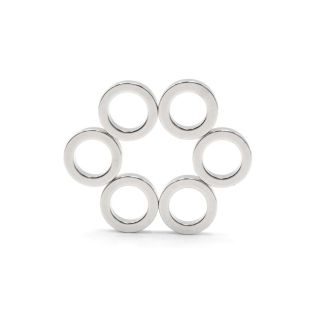 Large Strong Ring Type Magnets
