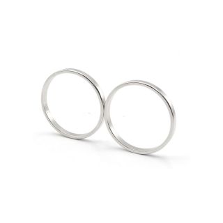 Large Strong Ring Type Magnets