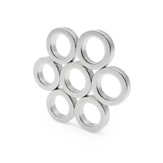 Diametrically Diametric Radial Magnetized Ring Magnet