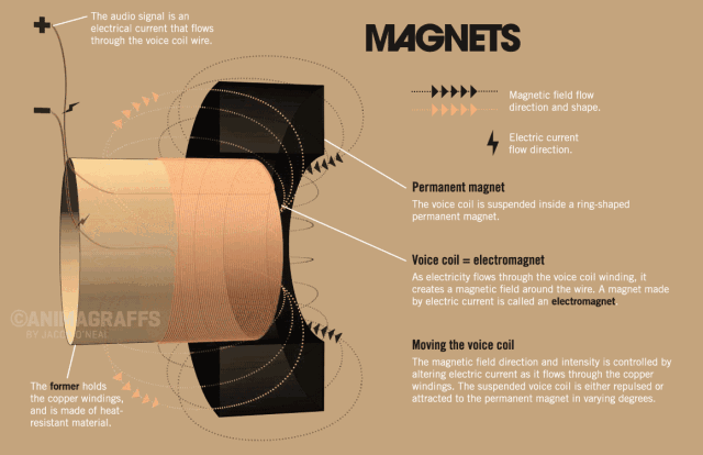 speaker magnet