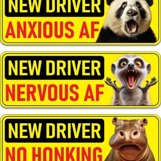 Custom Car Magnets for Advertising & Events