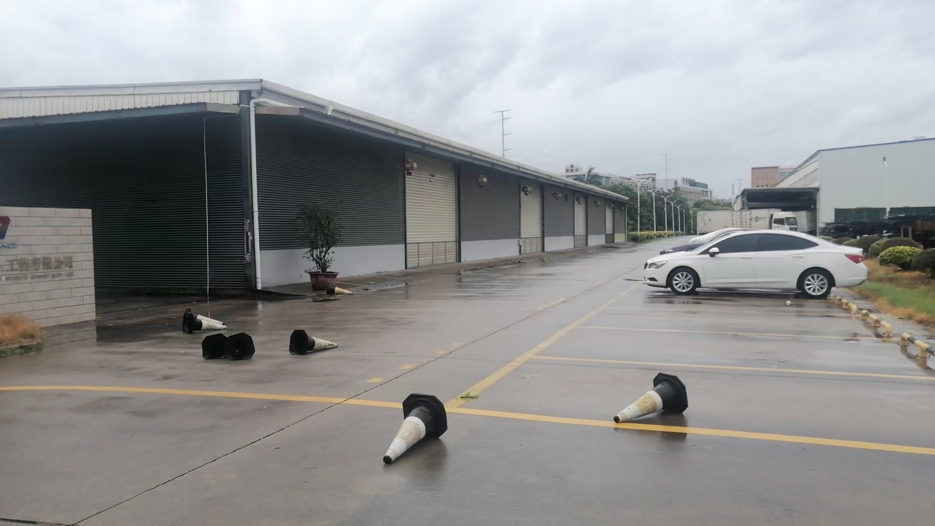 여기 샤먼에서 태풍이 지나간 후에도 안전하고 안전하며 피해가 없습니다!