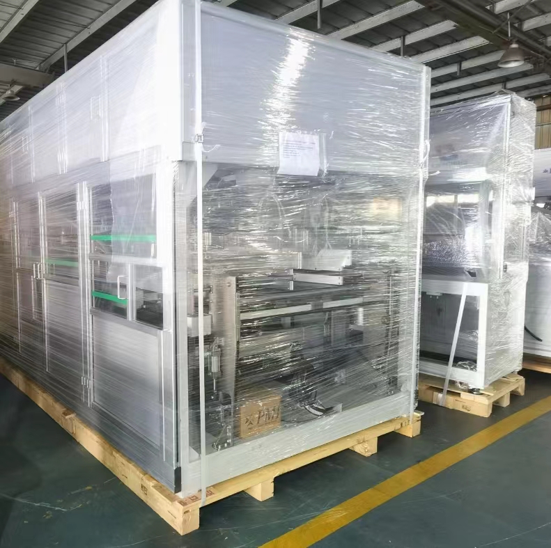 고속 아기 기저귀 포장 기계, 러시아로 갑니다