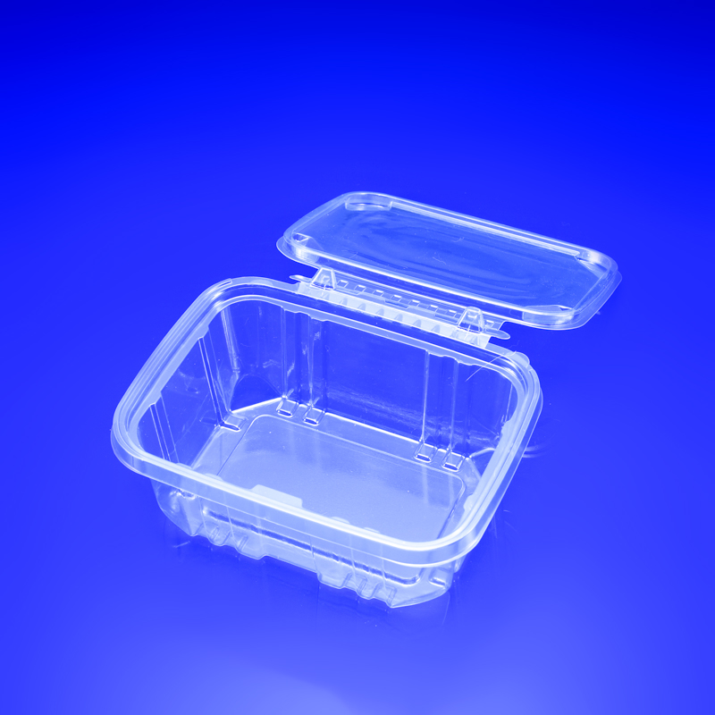 China Lettuce Container Manufacturers